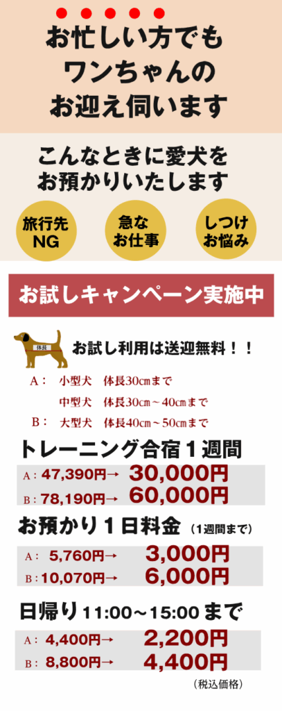 お試し料金・お試しキャンペーン・安い