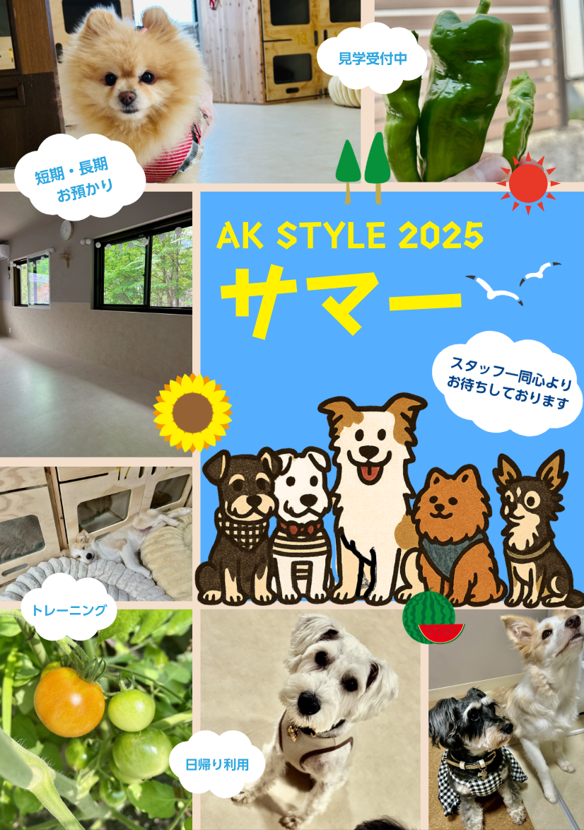 SUMMERキャンペーン