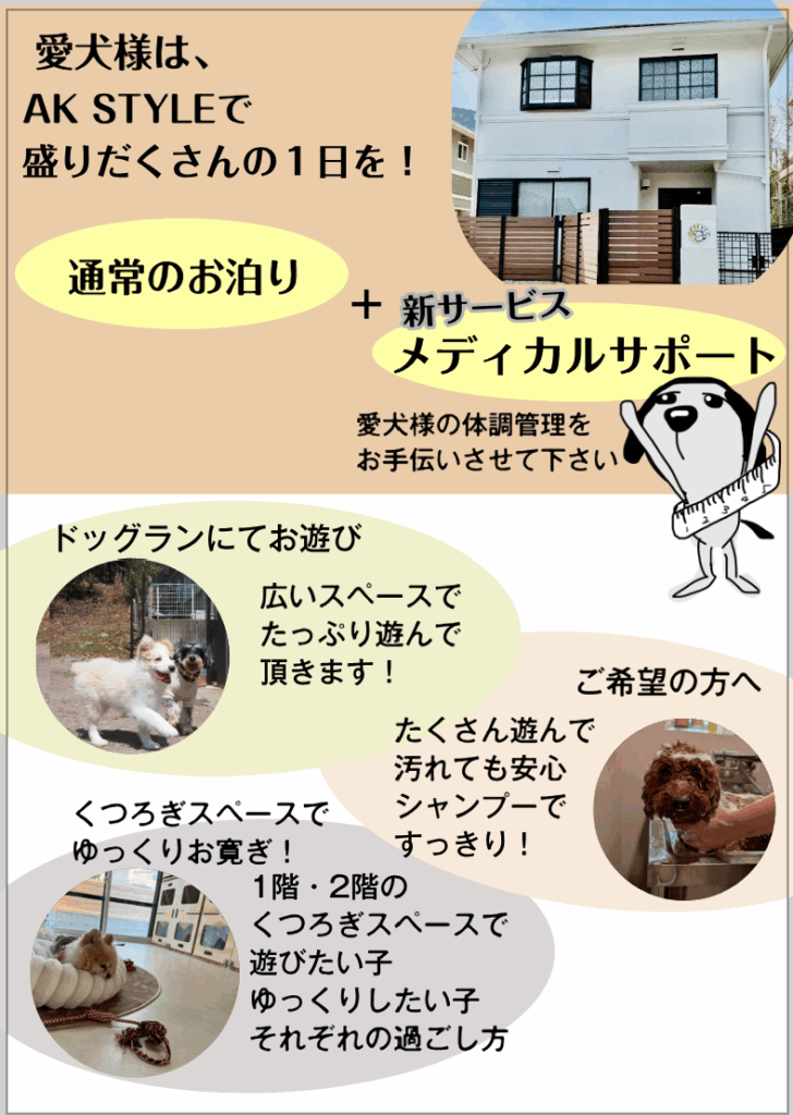 愛犬の過ごし方